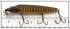 Creek Chub Pikie Scale Intro Pikie