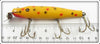 Creek Chub Yellow Spotted With Glass Eyes Pikie 714 Special