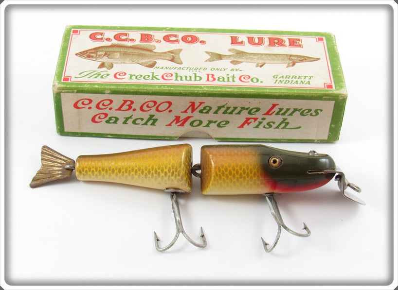 Creek Chub Golden Shiner Jointed Pikie Lure With Tail 2604 Special