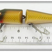 Creek Chub Golden Shiner Jointed Pikie With Tail 2604 Special