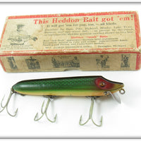 Vintage Heddon Green Scale Vamp Lure In Brush Box 7509D 