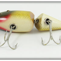 Creek Chub Golden Shiner Wigglefish In Box 2404