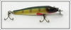 Creek Chub Perch Saltwater Pikie In Box 701 SW Special
