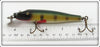 Creek Chub Perch Saltwater Pikie In Box 701 SW Special