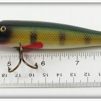 Creek Chub Perch Saltwater Pikie In Box 701 SW Special