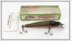 Vintage Creek Chub Pikie Scale Saltwater Pikie In Box 700 SW Special