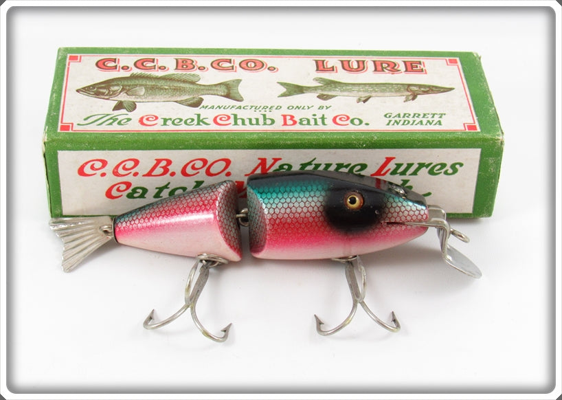 Vintage Creek Chub Redside Dace Wigglefish Lure In Box 2405 