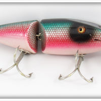 Creek Chub Redside Dace Wigglefish In Box 2405