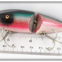 Creek Chub Redside Dace Wigglefish In Box 2405