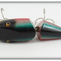 Creek Chub Redside Dace Wigglefish In Box 2405