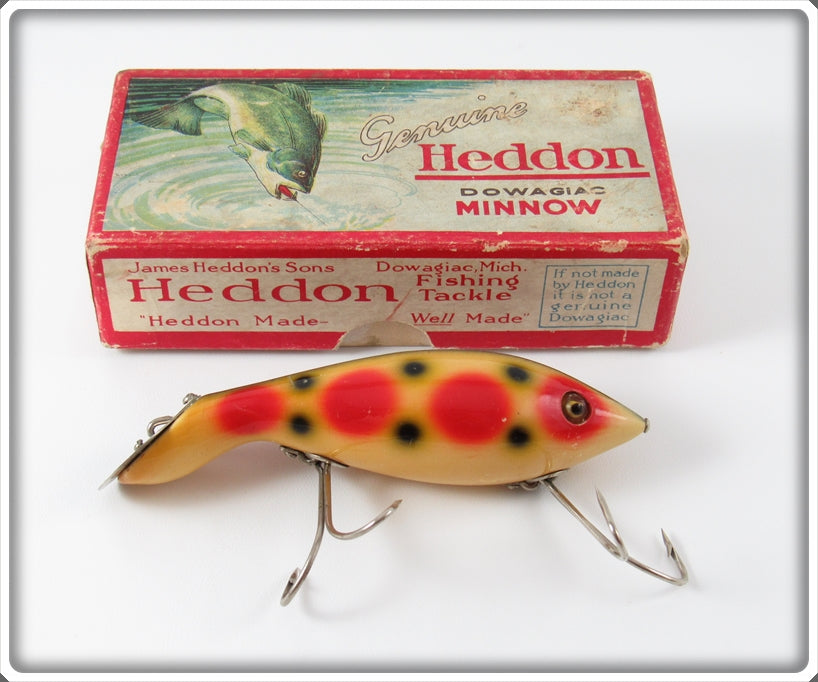 Vintage Heddon Strawberry Spot Tadpolly Lure In Box 5000S