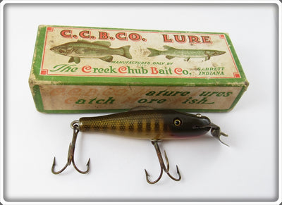 Creek Chub Pikie Scale Baby Pikie In Box