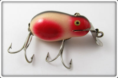 Creek Chub White Red Spots Tiny Tim