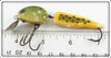 F. S. Burroughs Yellow & Green Tadpole