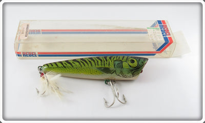 Vintage Rebel Naturalized Spanish Mackerel Windcheater In Box
