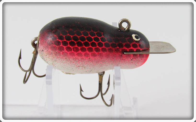 Creek Chub Shakespeare Red & Black Scale Pup Tiny Tim Lure 