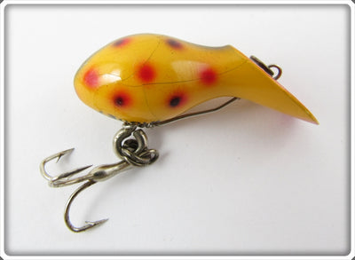 Heddon Spotted Orange Widget