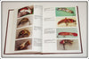 Bud Stewart Michigan's Legendary Lure Maker Identification Guide