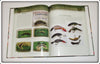Modern Fishing Lures Collectibles Vol 2 Identification & Value Guide
