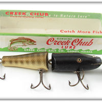 Creek Chub Black Head Pikie Scale Tail Jointed Pikie Lure 2600 Special
