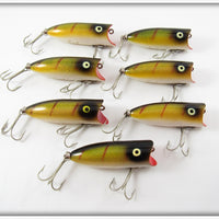 Heddon Perch Baby Lucky 13 Dealer Box With 7 Lures