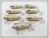 Heddon Perch Baby Lucky 13 Dealer Box With 7 Lures