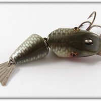 Creek Chub Silver Shiner Baby Wigglefish