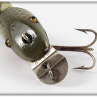 Creek Chub Silver Shiner Baby Wigglefish