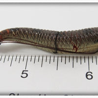 Unknown Possible Hardy Worm In Box