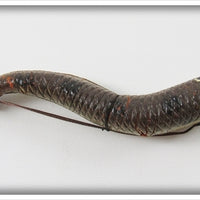 Unknown Possible Hardy Worm In Box