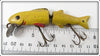 Unknown Yellow Illinois River Minnow Type