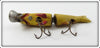 Unknown Yellow Illinois River Minnow Type