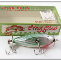 Creek Chub Shad Spinning Injured Minnow Lure In Box 9509 