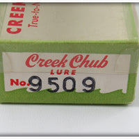 Creek Chub Shad Spinning Injured Minnow In Box