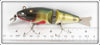 Creek Chub Perch Wigglefish 2401