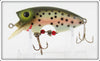 Poe's Rainbow Trout Loco-Motion