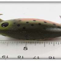 Poe's Rainbow Trout Loco-Motion