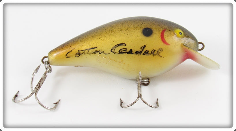 big o fishing lures Cordell Big O Lure Signed By Cotton Cordell & Fred Young For Sale