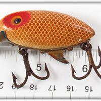 Clark's Brown Scale Streamliner Water Scout