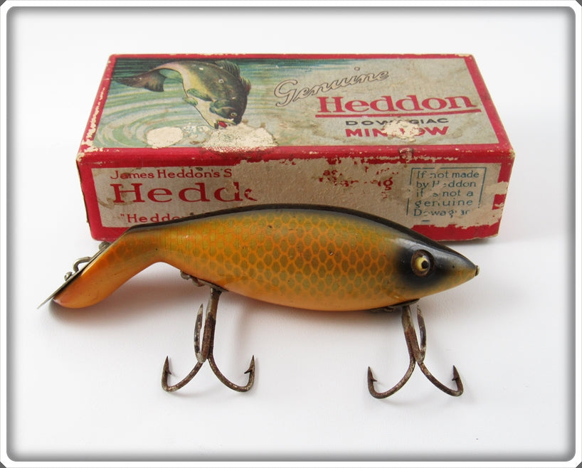 Vintage Heddon Shiner Scale Tadpolly Lure In Box 6009P
