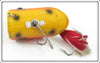 Lauby Orange, Yellow & Black Chunk Bait