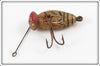 Creek Chub Bug Finish Creek Bug Wiggler 1100