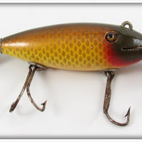 Vintage Creek Chub Golden Shiner Wagtail Lure 804 