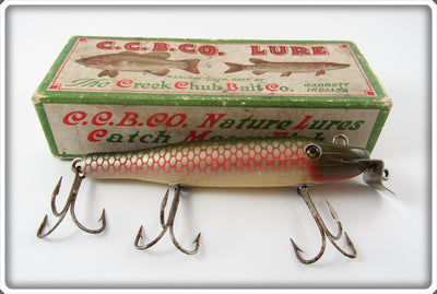 Vintage Creek Chub Redside Pikie Lure In Box 705 Special