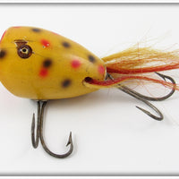 Creek Chub Yellow Spotted Surface Dingbat