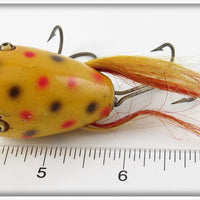 Creek Chub Yellow Spotted Surface Dingbat