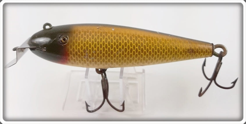 Vintage Creek Chub Golden Shiner Husky Musky Lure 604 Special 