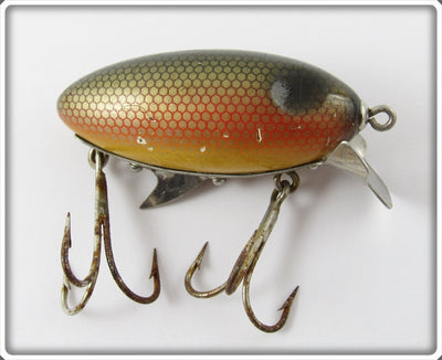 Clark's Dace Dent Eye Water Scout