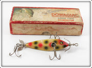Heddon White With Red & Green Spots 0 Minnow Lure In Box