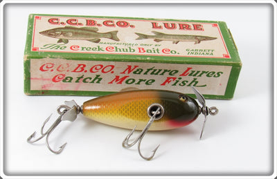 Creek Chub Golden Shiner Baby Injured Minnow Lure In Box 1604